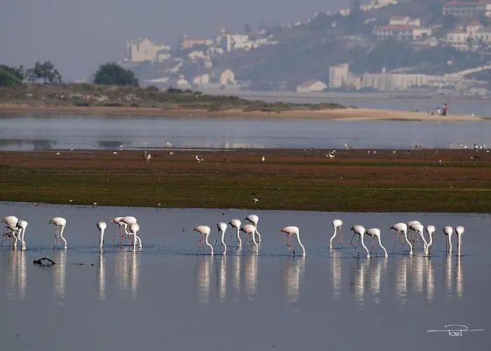 Castellino - Perfect Family Retreat Villa Fanadia